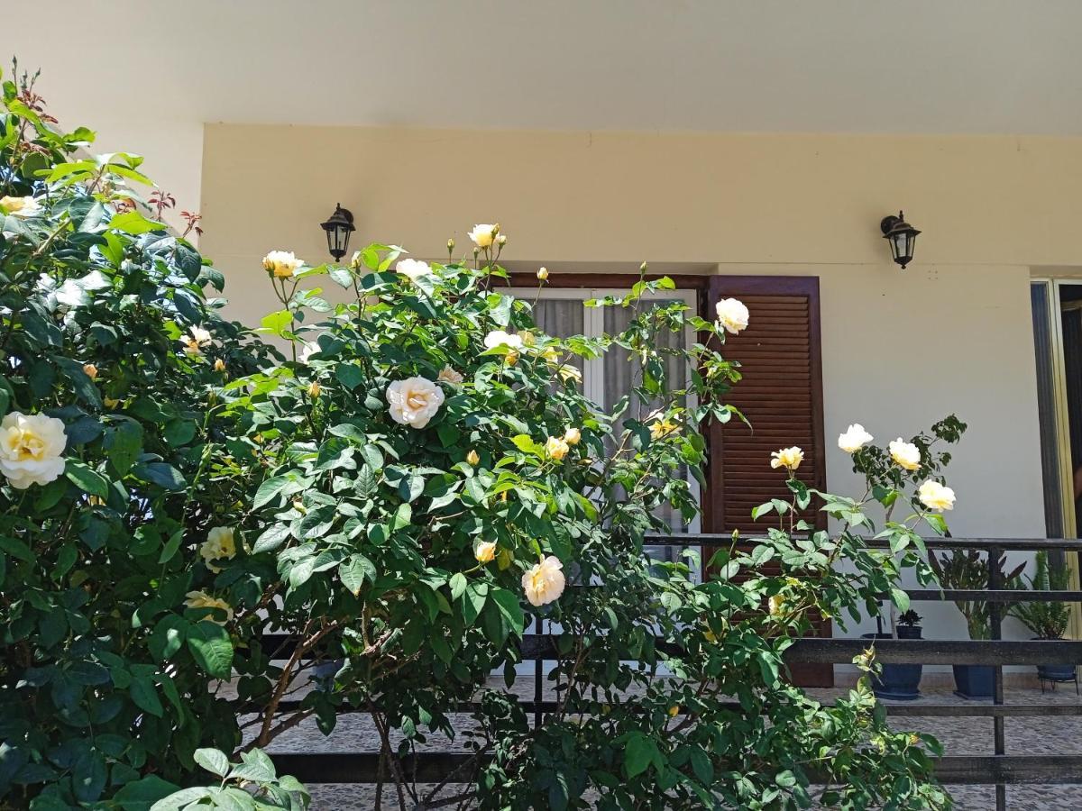 Serene Country House Nafplio Ngoại thất bức ảnh