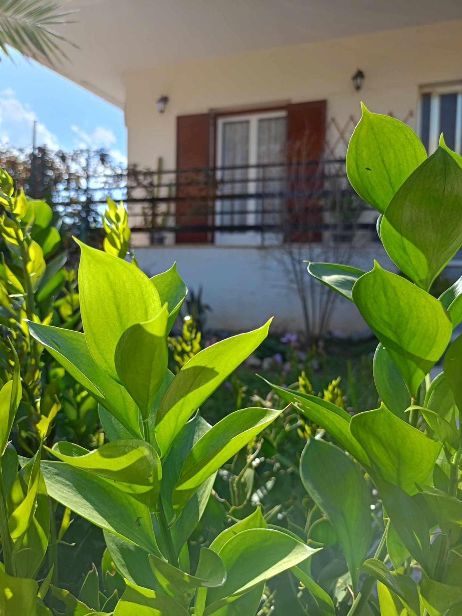 Serene Country House Nafplio Ngoại thất bức ảnh